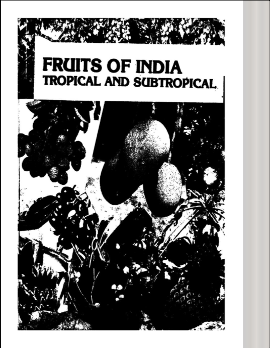 Fruits: Tropical and Subtropical